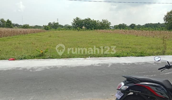 Disewakan Tanah Sawah Cocok untuk Usaha - Lokasi Strategis di Sekarsuli Klaten