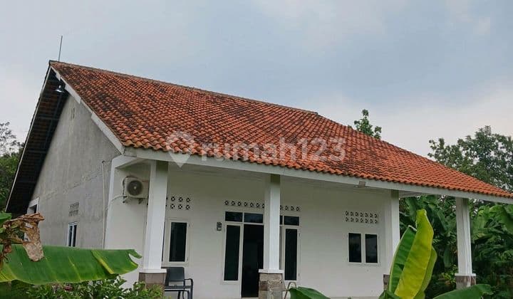@ Di Jual Cepat Rumah Dan Kebun Kemang Udik Parung Hijau Bogor Murah Jawa Barat
