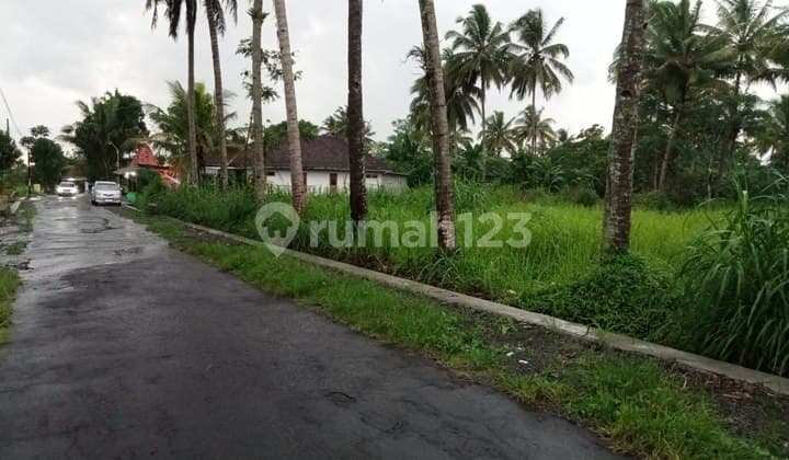 Tanah Dijual Jogja Luas 2143 Shm Sawah Di Pakem Sleman Yogyakarta
