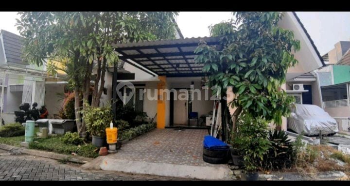 Lelang Rumah Sememi 500 Jt Ann