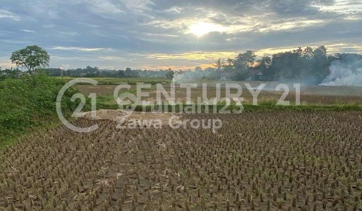 Tanah Padat Area Pesawahan Lokasi Strategis Di Legok Tangerang
