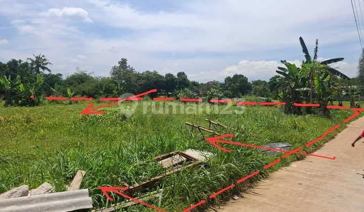 Tanah Strategis Akses Mudah di Kp. Sasak, Tegal, Kemang, Bogor