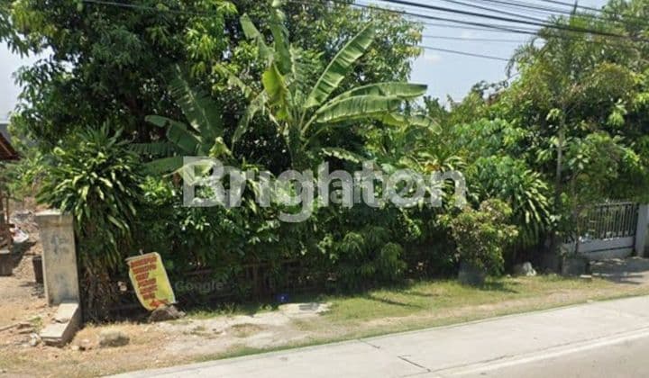 Land on the Side of Jl Besar Solo - Kalioso