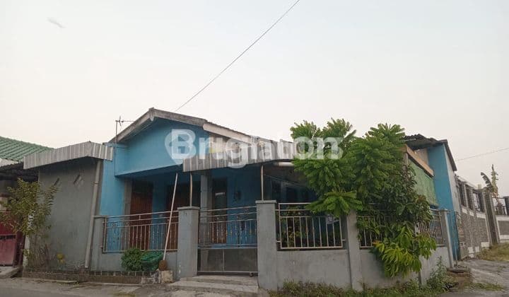 BACK HOUSE OF INNER COFFEE