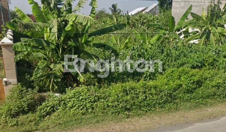 TANAH DI JALAN RAYA DALEMAN