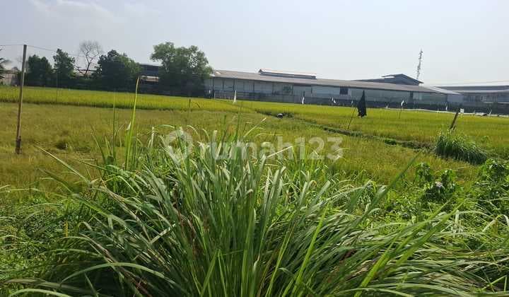 Cikande, Banten.. A Plot of Land for Sale, Flood-Free, Asphalt Road, Large Factories on Left, Right, and Rear Sides, Designated for Industrial Use, Includes 4 SHM Certificates, Near Cikande Toll Road, 5 to 10 Minutes Away.