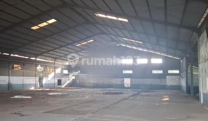 Jl Telesonik, Desa Kadu Jaya, Curug, Tgr..Dijual Gudang Murah Siap Pakai, Hadap Utara, Akses Kontainer 40F, Gudang Juga bisa Masuk Kontainer 40F, Tdk Banjir, 15Mnt Gerbang Tol Bitung, Zona Industri, Air Pam, Shgb.-Rr