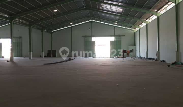 Sepatang, Tangerang..Newly Leased Tandem Warehouse, Access for 40ft Containers, Owner Uses PT Name, Warehouse Floor Height 1.2 Meters from Front Road, Groundwater, 2 Bathrooms.-Wt