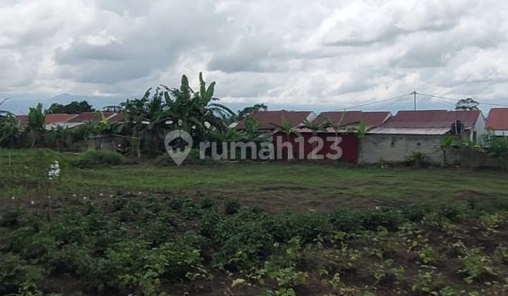 Dijual Tanah Luas 7100 Siap Bangun Sebelah Perum Viola