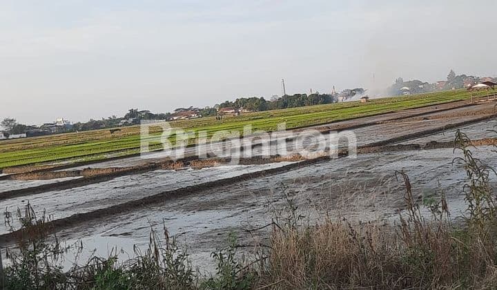 Tanah Cukup Luas Bisa Buat Pabrik di Pemalang