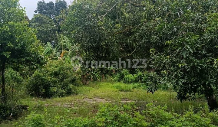 Tanah di Jual di Samping Perumahan Tanah