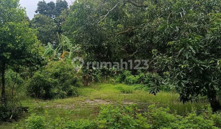 Tanah di Jual di Samping Perumahan Tanah