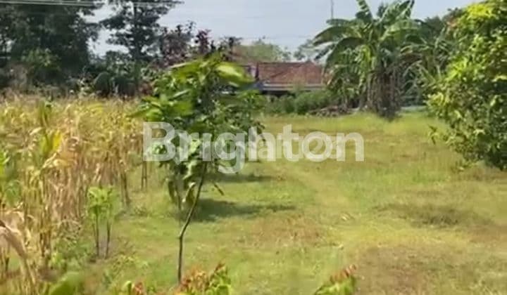 Tanah di Jual di jln utama