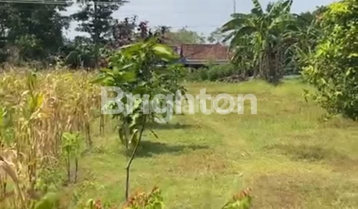 Tanah di Jual di jln utama