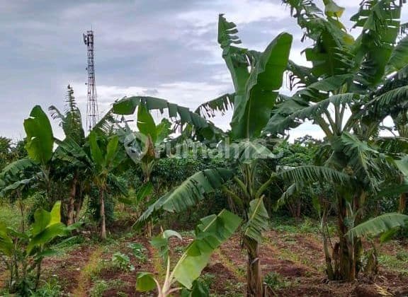 Di Jual Premium Kota Bogor Tanah Sareal Bogor Barat.