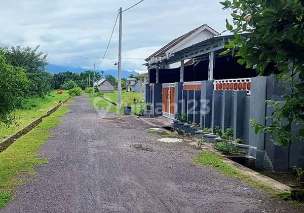 Super Murah Dijual Tanah Kavling Perumahan di Celukan Bawang - Gerokgak, Singaraja