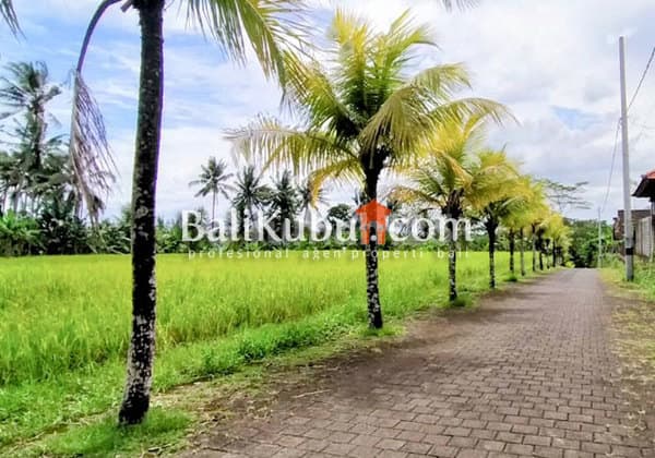 Dijual Tanah Kavling di Perumahan Kawasan Sejuk Denbantas Tabanan