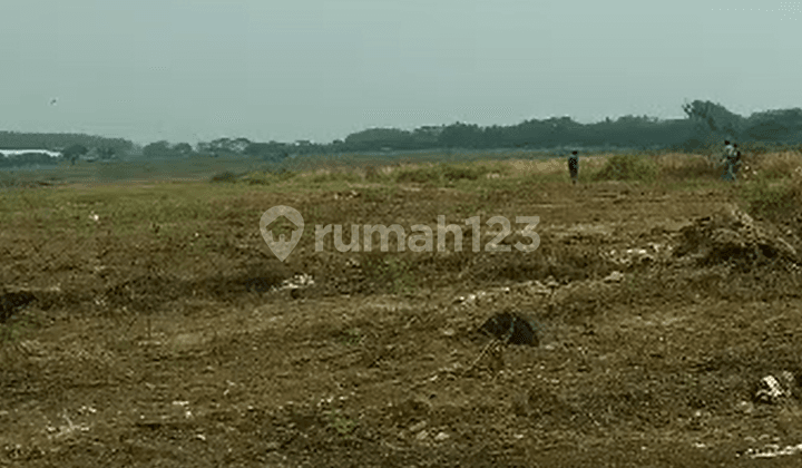 disewakan kavling pasar kemis cocok untuk jadi pabrik