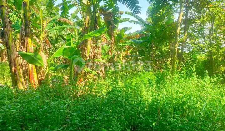 Jual Tanah Mentah di Curug Tangerang Cocok Unty Workshop, Gudang, Pabrik, Dll