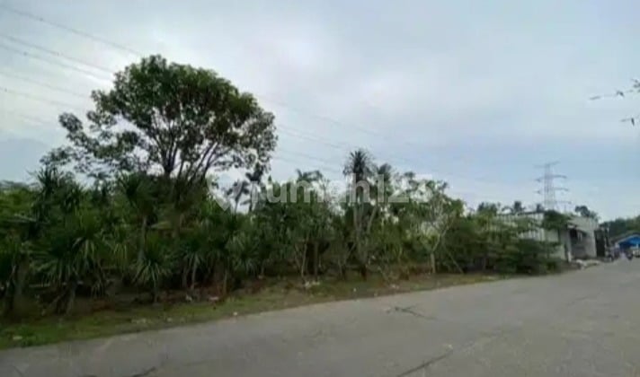Tanah Dijual Murah Depan Citayam Tajurhalang Bogor