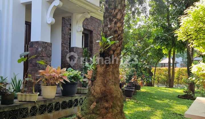 Nice House Favorite Cluster Ready to Live Strategic
