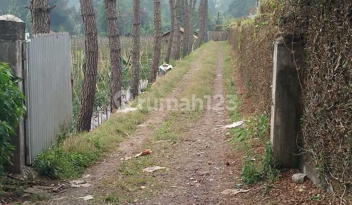 Land Ready to Build, Ideal for Private Villa, Strategic Location.