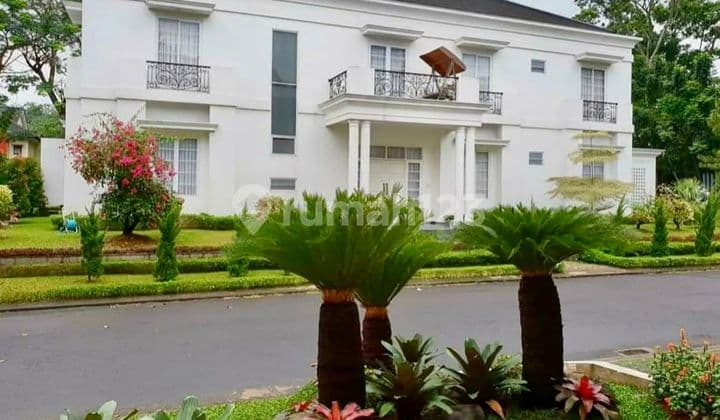 Premium Strategic Hook Cluster Luxury House Independent Building