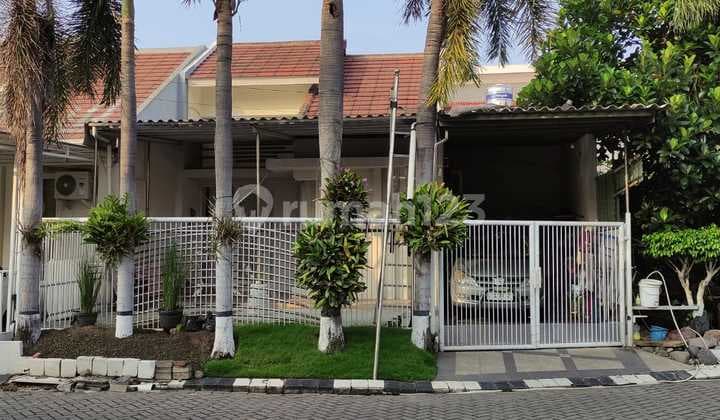Jual Cepat Rumah Hook Bukit Palma Citraland