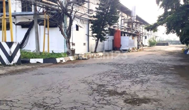 For Sale Paper and Tissue Factory Kertosono Nganjuk For Sale Paper and Tissue Factory Kertosono Nganjuk