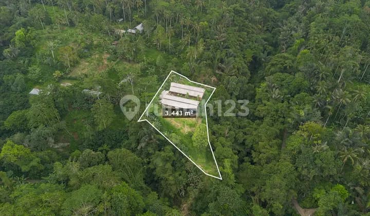 Disewakan Tanah 3.443 M² di Taro - View Hutan & Lembah, Zona Perumahan