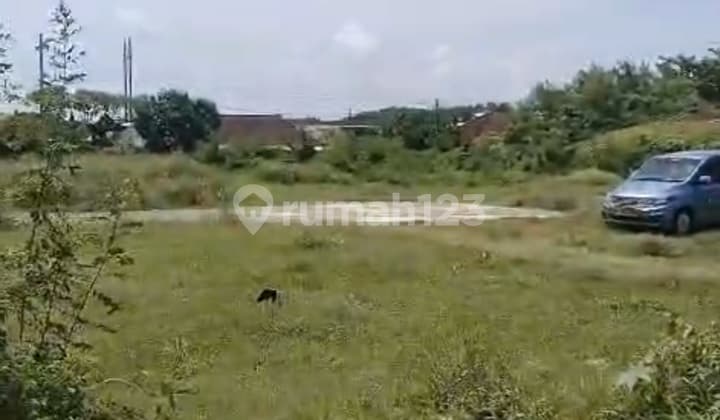 Dikontrakkan Tanah Strategis 46 Are Jalan Bypass Ngurah Rai - Badung