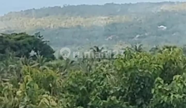 Quick Sale Land 19 million/are, Ocean and Mountain View 40 are