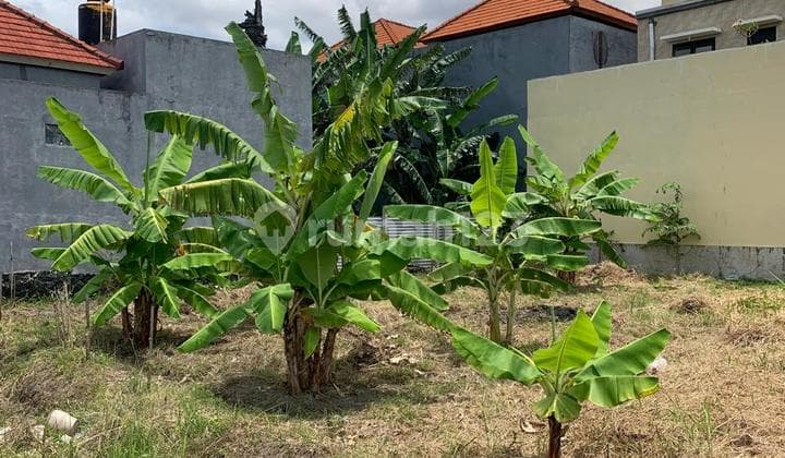 Miliki Lahan Premium di Renon - Jarang Ada Ukuran Kecil