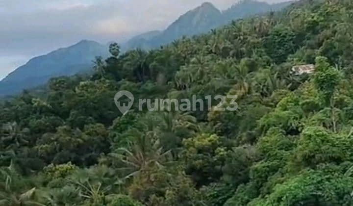 Land. IDR 39 million/are, Disembiran, accessible to Kintamani.