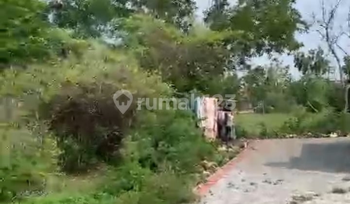 Land for Sale - Hook Position, Kutuh Jimbaran