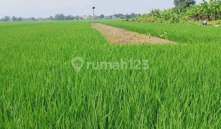 Land for Sale Zero Road Access Suitable for Warehousing Housing Negotiable Price