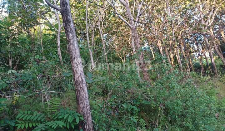 FOR SALE: Land at Jalan Nusapanida Zero Point, Ready to Build, Cheap, Negotiable.