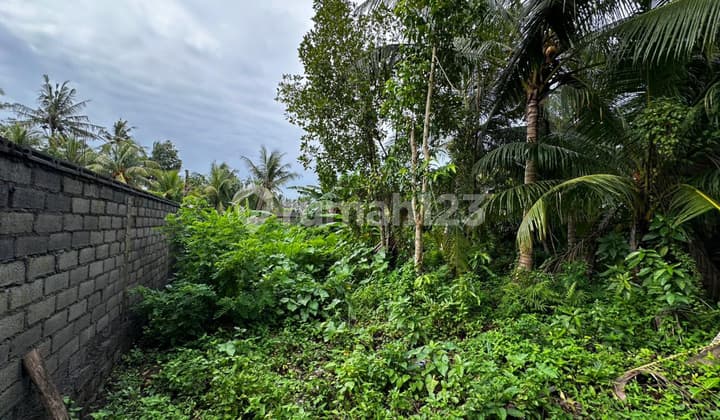 Tanah Villa Lokasi Ubud