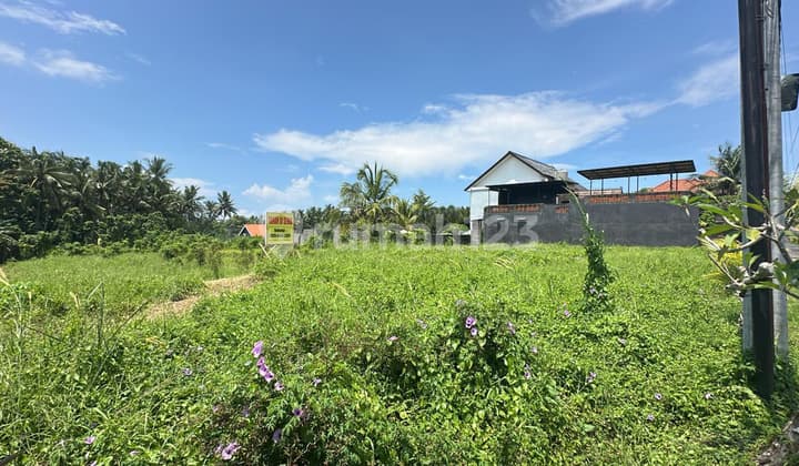 Investment Land For Lease - Ubud Area