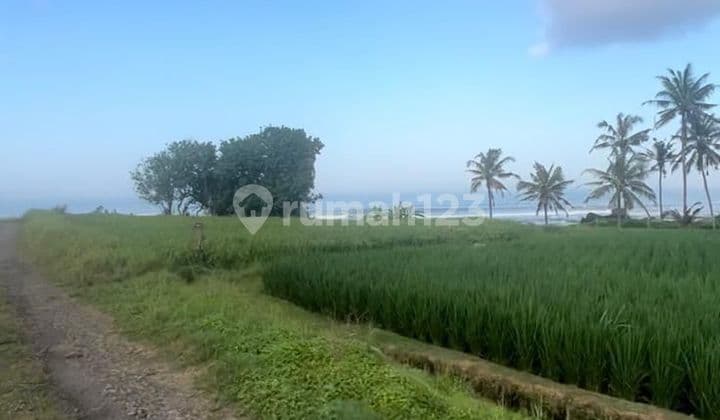 For Sale - Exclusive Beachfront Land In Pasut, Tabanan - Bali
