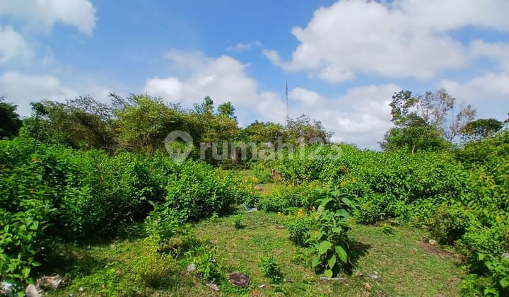 Rare Listing! Tanah 5 Are Strategis Kutuh - Dekat Pantai Melasti & Area Wisata