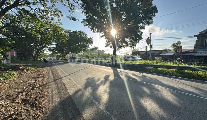 Tanah Seluas 59 Are , Jalan Raya Akses Kontainer di Gianyar