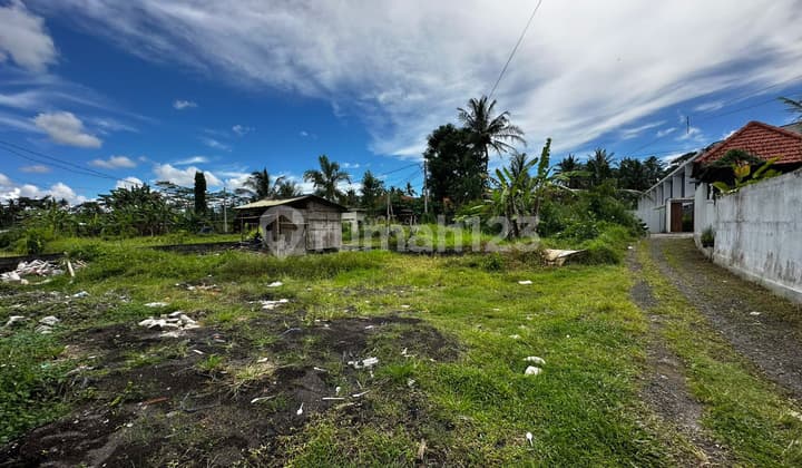 Potential Villa & Promising Investment Near Ubud