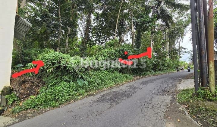 TANAH STRATEGIS PINGGIR JALAN DI UBUD BALI