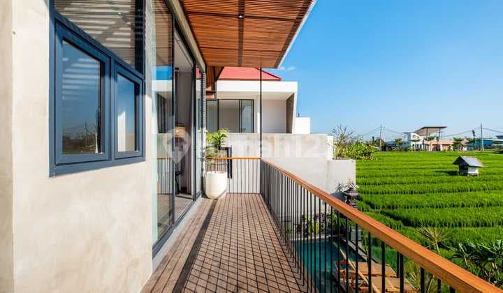 Villa, Freehold, in Canggu