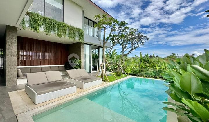 For Sale: Rice Field View Villa - Brawa, Canggu