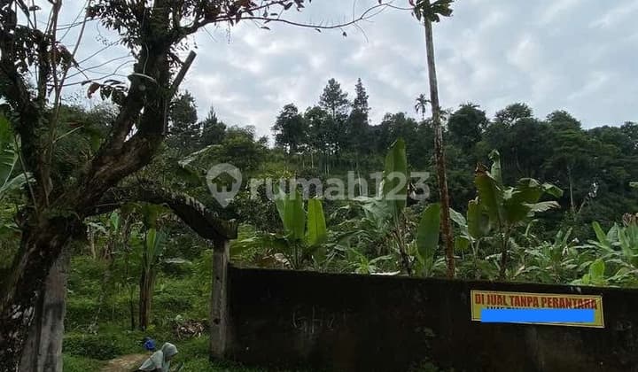 Land, Freehold Title, Near Puncak Bogor Tourism Area, in Megamendung
