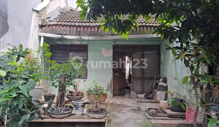 Rumah lama daerah Sambiroto.Tembalang - 10996