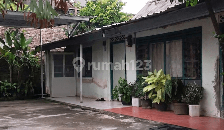 Cozy House in Jangli Semarang Area - 11337