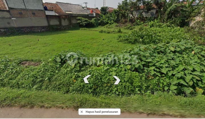 Productive Rice Fields in the Developing Jatiluhur Area, Purwakarta